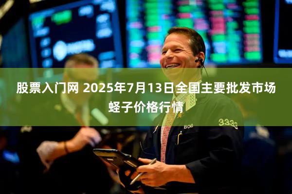 股票入门网 2025年7月13日全国主要批发市场蛏子价格行情