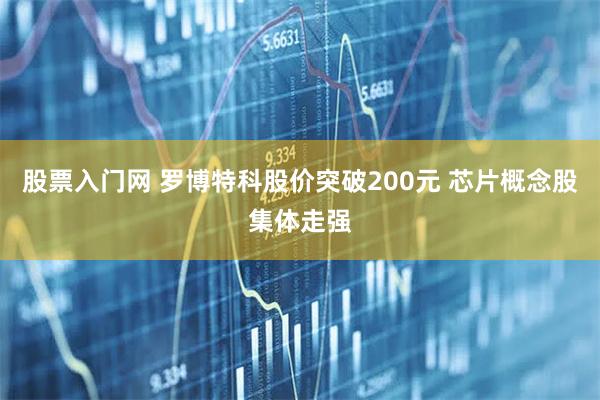 股票入门网 罗博特科股价突破200元 芯片概念股集体走强