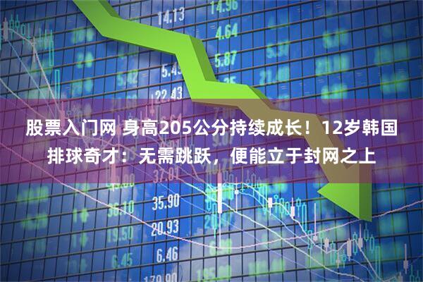股票入门网 身高205公分持续成长！12岁韩国排球奇才：无需跳跃，便能立于封网之上