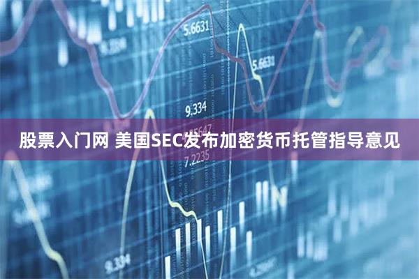股票入门网 美国SEC发布加密货币托管指导意见